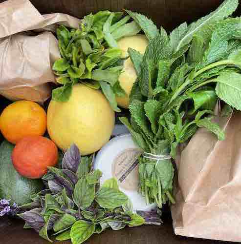 Community Supported Agriculture box filled with produce